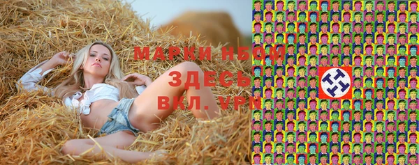спайс Арсеньев