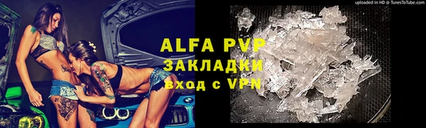 спайс Арсеньев