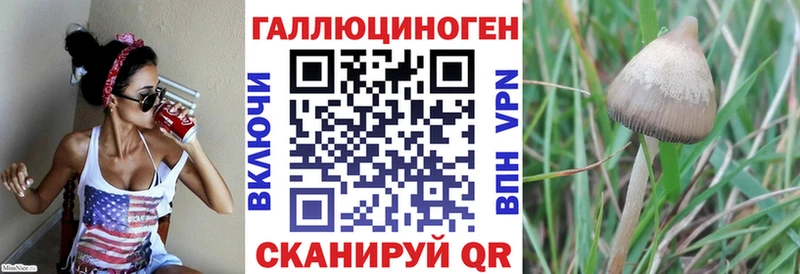 Псилоцибиновые грибы мицелий  купить  цена  Нефтекумск 
