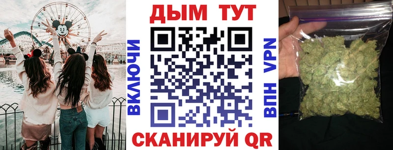 Канабис индика  Нефтекумск 